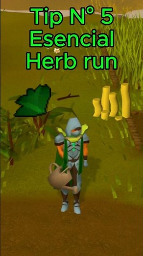 Tip N° 5 esencial Herb Run