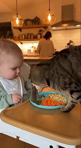 Cat Brings a “Gift” to the Baby…and the Reaction Is Priceless! 😹👶🐭 | Realistic Funny Short#Shorts