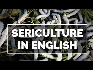 Sericulture Explained. English Notes on Silk Farming. important question. BSC. 5sem.