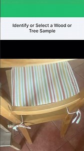 Wood identifier App Demo video
