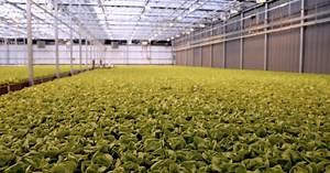 Tapping into new farming techniques to meet growing food demand