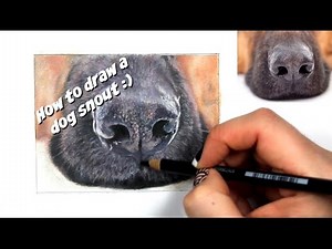 TUTORIAL #8 - How to draw a realistic dog snout - Channel Sheldene Fine Art