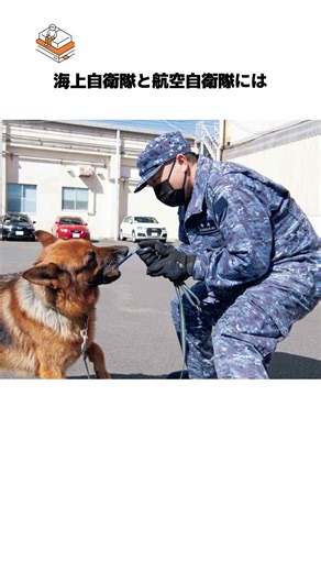 【いつもありがとうございます…】絶対になくてはならない自衛隊に関する雑学