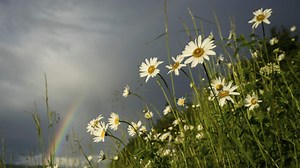 Sky News Weather Forecast