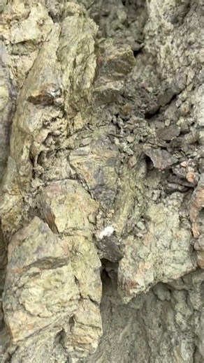 Silver ore vein