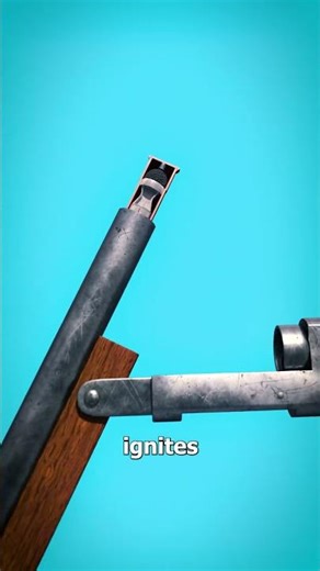 How shotshells work in 30 seconds.. #ammunition #howitworks #foryou #shorts #bullets #shotgun #rifle