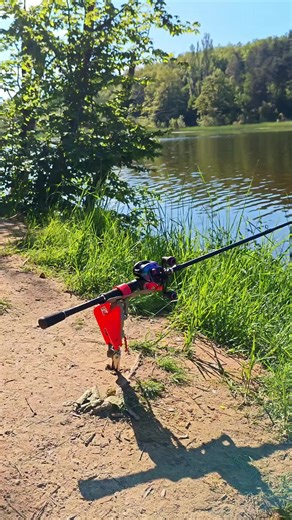 Automatic fishing rod holder fishing gear and tools #fishtok #fishinggear #fishingaccessories #sport #fishingtime