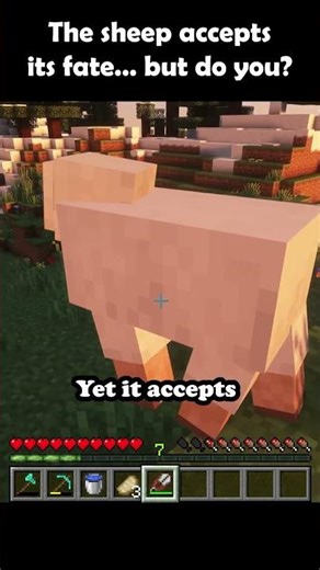 The sheep accepts its fate… but do you? 🐑✨