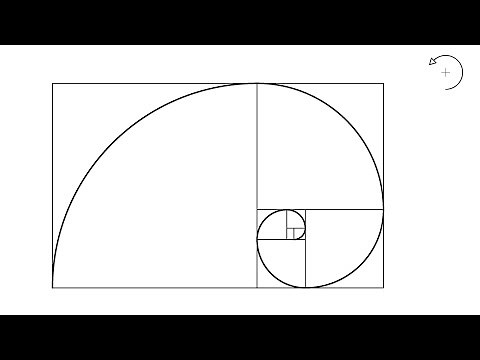 Dürer spiral (Golden Spiral).