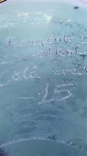 Peugeot 206 atom punk cold start D2O2