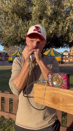 Exploring the Harmonic Melodies of Blues Traveler's 'Fallible' from the Album 'Four'