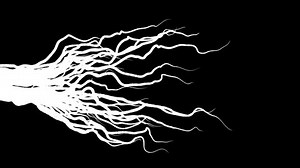 Animation Growing Roots On Black Background Stock Footage Video (100% Royalty-free) 1045118380 | Shutterstock