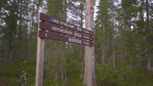 Preliminary information Finland Magazine spring-summer-autumn 2026 Kainuu Spring and Summer-Autumn 2026 As a nature sight, Hepoköngäs is one of the most gorgeous waterfalls in Finland, earned its place as one of the best sights in Kainuu. as it is a refreshing and beautiful place in the middle of Kainuu's coniferous forests. The water flows like a foaming ribbon down the cliff and into a lake, making the entire lake heave. It is easy to get to admire the fall both from the top and from the lake 