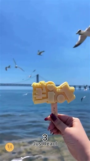 The seagulls are attacking 😂⚡😄 #shorts #funny