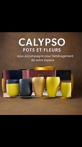 13 reactions | Calypso pots et fleurs confies nous votre espace nous allons en faire un jardin paradisiaque. Tel 70 86 22 22 #followerMali @super fans #Mali | Les Pots de Fleurs de Calypso | Facebook