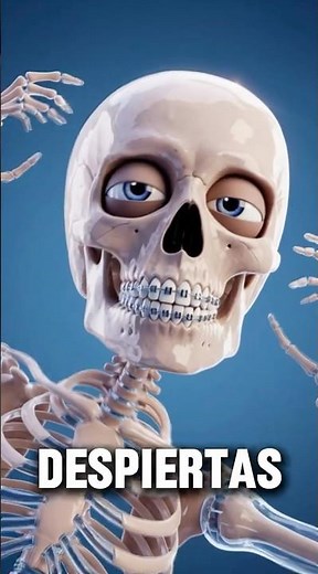 ¿Por Qué Te Despiertas Justo Antes De Que Suene La Alarma? ⏰🧠