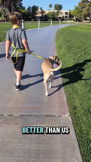 kids can be some of the best trainers