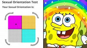 A sexuality test is going viral and it will tell you exactly how gay you are