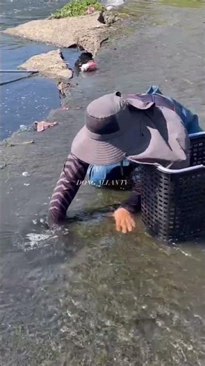 Amazing River Fish Catching by Hand | Traditional Fishing in Shallow Water #shortselling