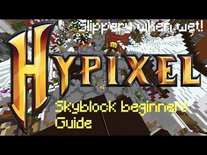 Hypixel Skyblock Beginners Guide