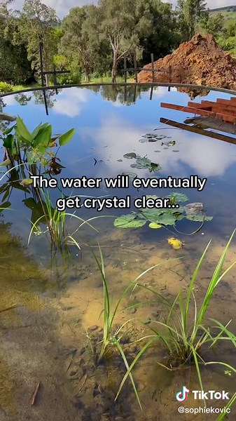 Building a DIY Natural Swimming Pool with Aquatic Plants | Off-Grid Living