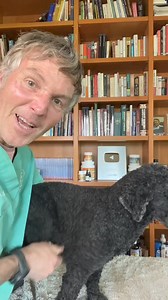 8.3K views · 206 reactions | Dog Allergies? Try these 3 powerful herbal remedies!! #dogallergy #dogallergies #dogitching #homeremedies #allergyremedy | Daily Pet Tips | Facebook