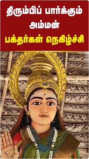 Streamline Tamil on Instagram: "திரும்பிப் பார்க்கும் அம்மன்...பக்தர்கள் நெகிழ்ச்சி | Streamline Tamil #namakkal | #god | #amman | #ammanews | #indiangods | #viralvideo | #viralshorts | #streamlinetamil"