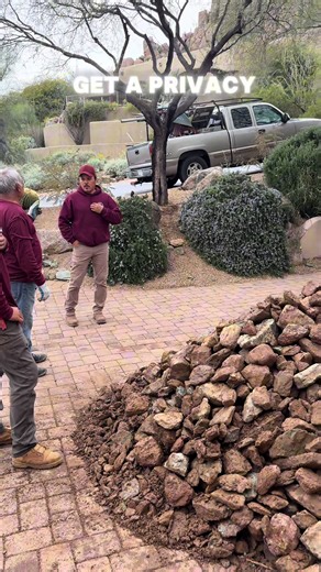 Building privacy the green way — tree wall prep in progress 🌳 #sophoralandscaping #landscape #construction #az #fyp