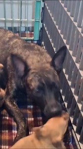 35K views · 1.2K reactions | Before the gloom and doom .. proof of...