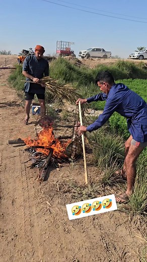 ‏#🤣🤣🤣🤣🤣#سفره #سفوري