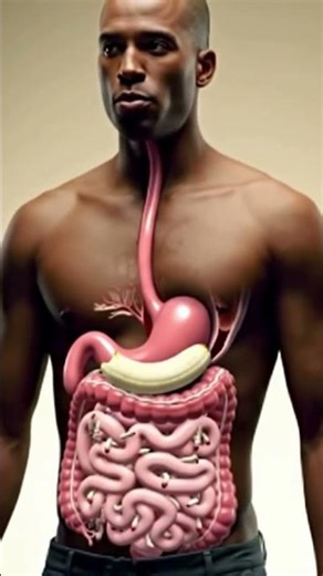 What happens when you eat this food item | Human Health Anatomy #digestiveprocess #humanbody