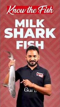 Interesting Facts About Milk Shark (Paal Sura) | Health Benefits & Cooking Receipes | Primecut