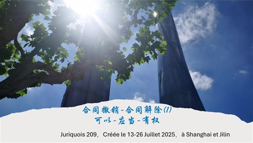 209最高效的法语法律学习方法French français droit code civil barreau Québec law chinois Chinese méthode English avocat lawyer律师公证师notaire notary 移民加拿大魁北克留学英语A2B1B2涉外中国民法典拿破仑法国亲子教育francisation大学法学院申请小语种Juriquois中文汉语词汇英法双语中英法三语法言法语律考法考打卡坚持习惯养成