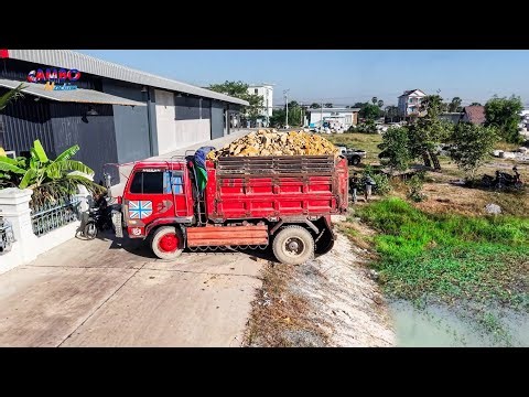 Nicely Landfilling Task! Start Project by Smart Driver 5T Trucks Unloading SoilRock & DOZER KOMATSU