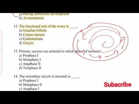 "100 Most Important MCQs on Female Reproductive System | Class 12 | NEET | MSc | Lecturer Exam"
