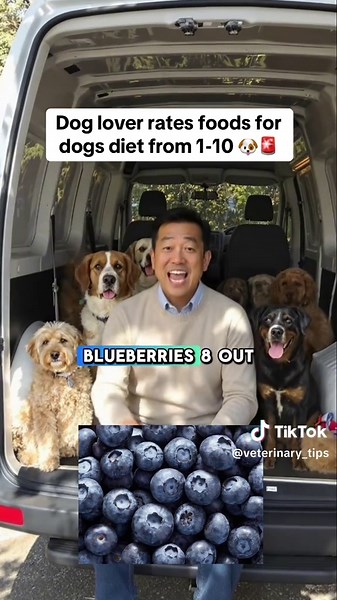 #viral #fyp #dog #dogtok #doghealth