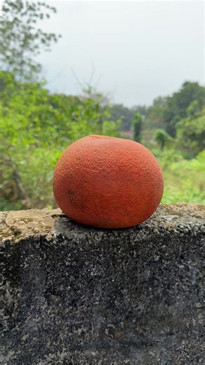 Satisfying ASMR Fruit Cutting Experience