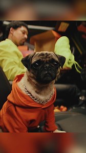 104 reactions | Up to $8,300 in Total Incentives on the 2024 Jeep Wrangler 4xe 4-Door Rubicon. Limited time offer. | Jeep Canada | Facebook