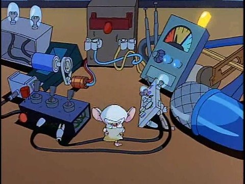 Pink and the Brain Christmas