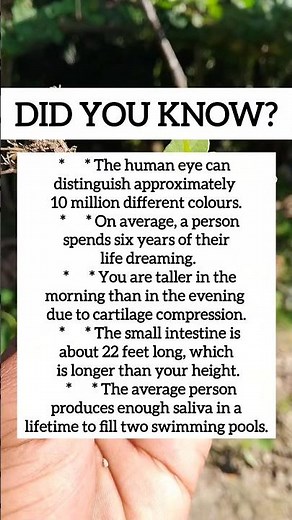 Human Body & Daily Facts: Did You Know?