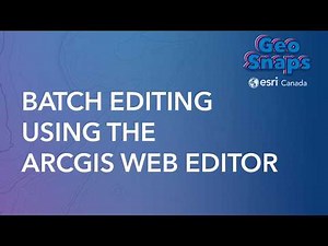 Batch Editing using the ArcGIS Web Editor