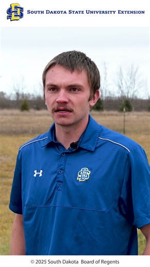 Animal Science Research and Extension Report: Sheep