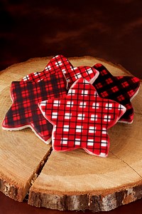 How to Airbrush Plaid Cookies - The Bearfoot Baker