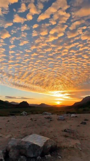 MAHAT (@shakerkhero12)’s videos with origineel geluid - Sami Qaidi