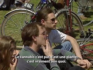 INA.fr on Instagram: "CANNABIS. Légaliser ou ne pas légaliser, telle est la question depuis bien des années en France. Ce mardi, le Conseil économique, social et environnemental s’est prononcé en faveur d’une légalisation « encadrée » du cannabis « récréatif ». #archive #mariejeanne #drogue #420 #trafic #jardinerie"