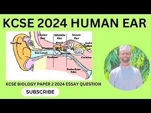 BIOLOGY PAPER 2 ESSAY | KCSE 2024