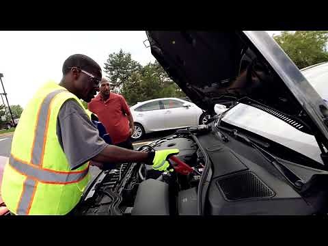 Good Hands Rescue Network: What being a rescuer is about - Craige | Allstate Insurance