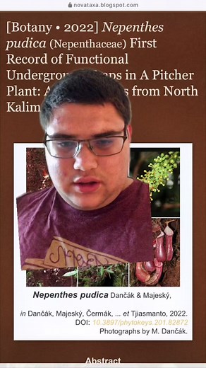 Heres some exciting news! #greenscreen #nepenthes #plants #planttok #carnivorousplant