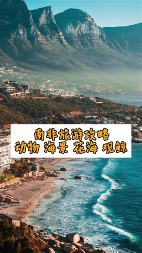 南非旅游景点攻略来啦 #南非旅游 #好望角 #开普敦 #非洲野生动物 #观鲸胜地