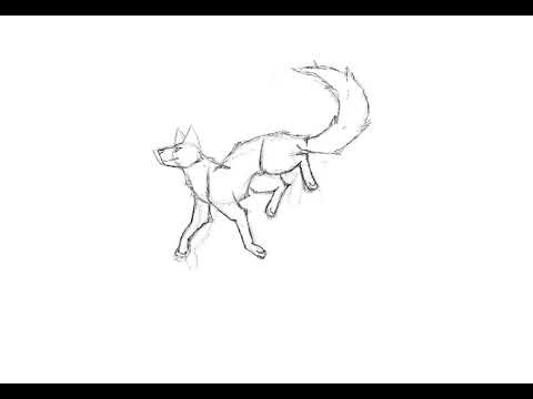 How I draw wolves